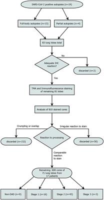 Impaired Dendritic Cell Homing in COVID-19